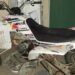 Secuestran un cuatriciclo por pasar un semáforo en rojo