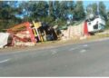 Un camión cargado con pollos volcó en ruta 191