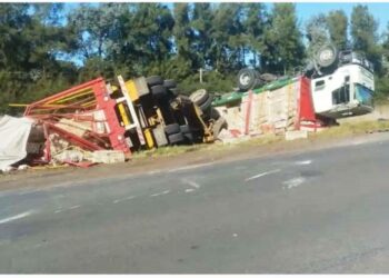 Un camión cargado con pollos volcó en ruta 191