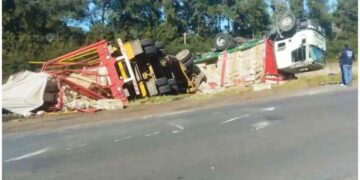 Un camión cargado con pollos volcó en ruta 191