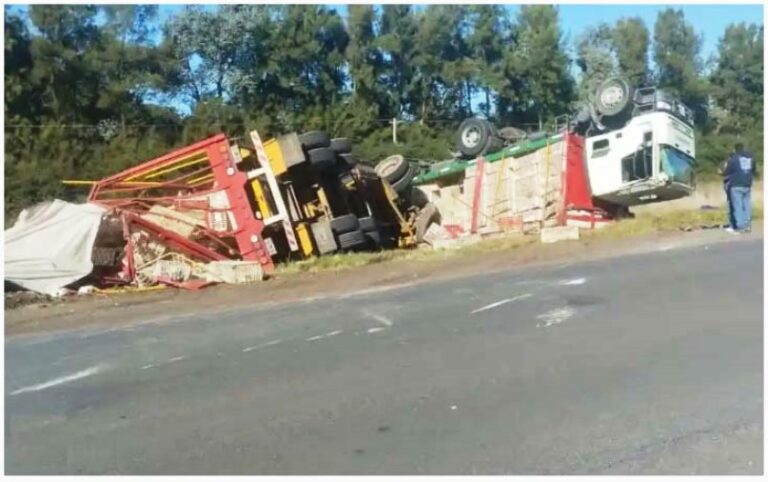 Un camión cargado con pollos volcó en ruta 191