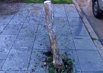 Secuestraron un auto que quedó tirado tras chocar con un árbol