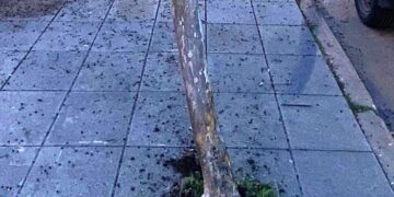 Secuestraron un auto que quedó tirado tras chocar con un árbol
