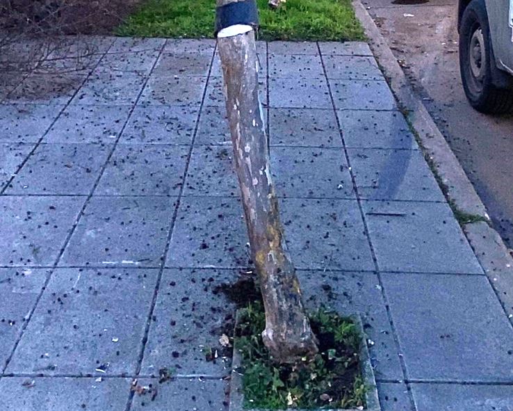 Secuestraron un auto que quedó tirado tras chocar con un árbol