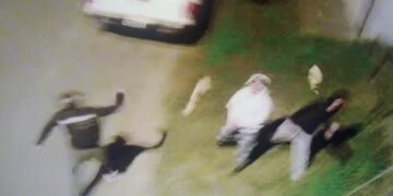 Vandalizan una cámara de seguridad en barrio Palermo