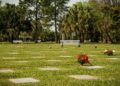 Proponen declarar de interés municipal y urgente un nuevo Cementerio Parque