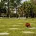 Proponen declarar de interés municipal y urgente un nuevo Cementerio Parque