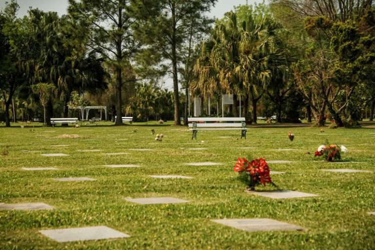 Proponen declarar de interés municipal y urgente un nuevo Cementerio Parque