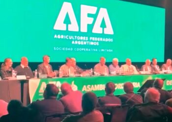 Un arrecifeño asumió en el Consejo de Administración de AFA
