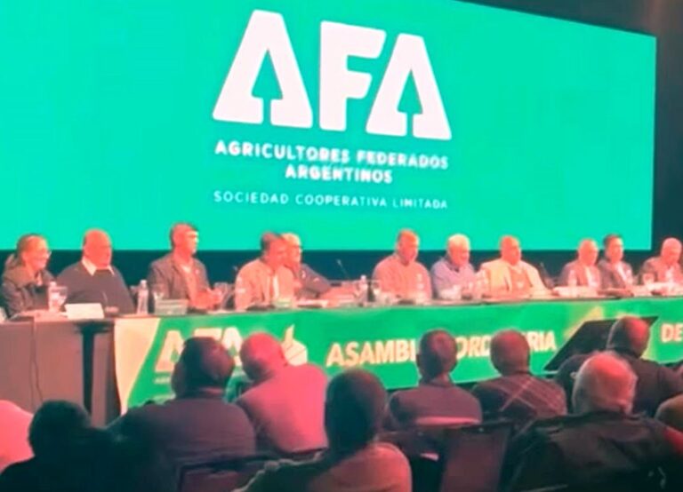 Un arrecifeño asumió en el Consejo de Administración de AFA