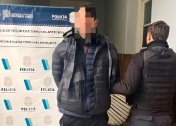 Detenido por abigeato agravado, y liberado…
