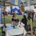 Feria de Emprendedores con shows en Salto