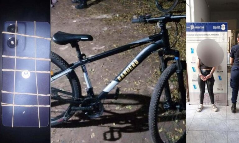 Roban en una casa, recuperan las cosas y la mujer detenida queda libre