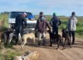 Infraccionan por caza ilegal a un grupo de galgueros en un campo de Arrecifes