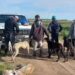 Infraccionan por caza ilegal a un grupo de galgueros en un campo de Arrecifes