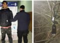 Detenido por robar una máquina de cortar el pelo