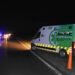 Heridos por choque contra una vaca en autopista 8