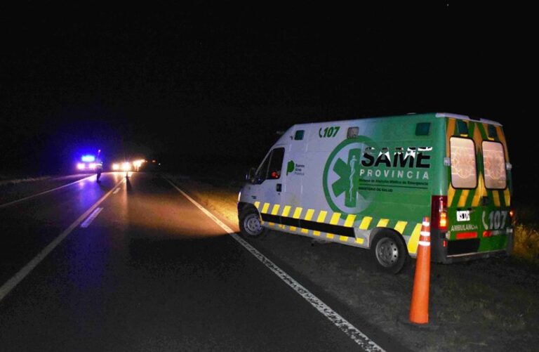 Heridos por choque contra una vaca en autopista 8