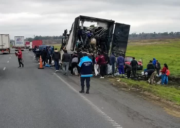 VIDEO. Se incendió un camión cargado con carne y lo saquearon
