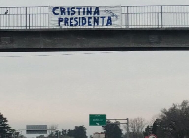 La Cámpora arrancó la campaña pidiendo la vuelta de “Cristina Presidenta”