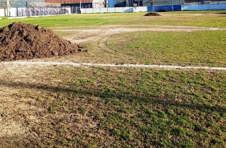 Empezaron a arreglar la cancha del Estadio