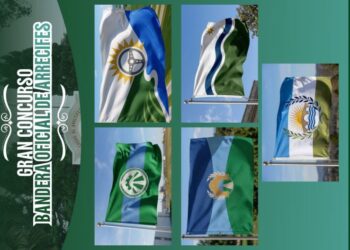 Abren la votación para elegir la bandera de Arrecifes