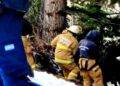 Terrible tragedia para una familia sampedrina en Bariloche