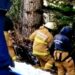 Terrible tragedia para una familia sampedrina en Bariloche
