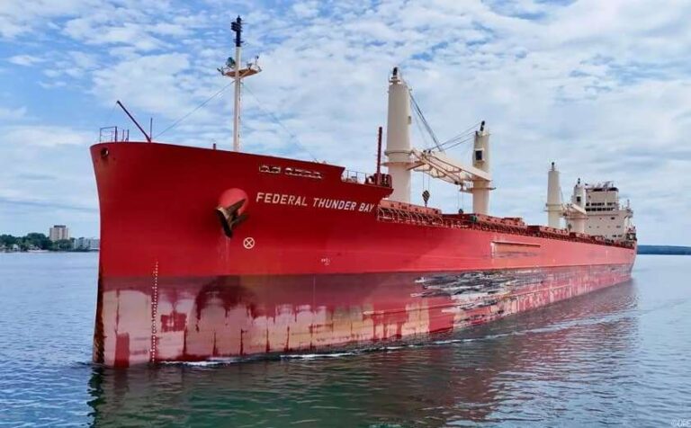 De San Pedro a Brasil: parte un buque con 33 mil toneladas de trigo