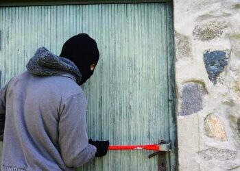 Roban en un campo de paraje La Nélida, en Arrecifes