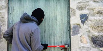Roban en un campo de paraje La Nélida, en Arrecifes