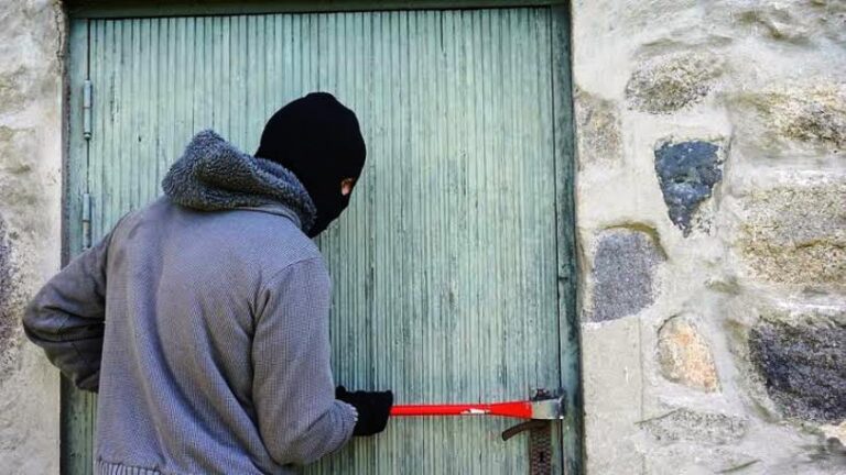 Roban en un campo de paraje La Nélida, en Arrecifes
