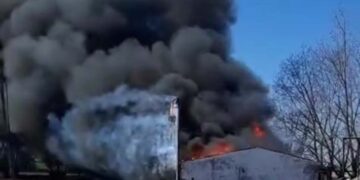 VIDEO. Importante incendio en un campo de Arrecifes