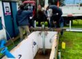 Renovación de bomba y cañerías en pozo de agua potable