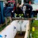 Renovación de bomba y cañerías en pozo de agua potable