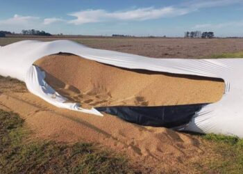 El mileísmo avanza con el endurecimiento de penas por vandalismo rural