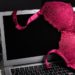 Las viudas negras se tecnologizaron: ahora acechan virtualmente